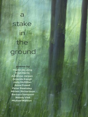 cover image of A Stake In the Ground